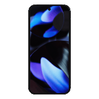 Image of Google Pixel 9