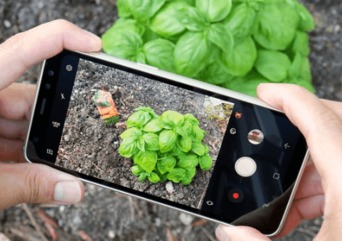 Image of Samsung Galaxy S8 Active